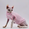 Costumi per gatti Vestiti Sphynx Comodi e traspiranti Primavera Estate per gatti senza pelo Devon Rex Cornish Peterbald