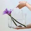 Decorative Objects Figurines Acrylic Bag Vase Creative Transparent Hydroponic Desktop Small Fish Tank Flower Pots Fashion Street S Props 230704