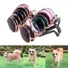 Abbigliamento per Cani Gatti Accessori per Animali Occhiali Occhiali da Sole Pettorina Accessorio Prodotti per Cuccioli Arredamento Lenti Gadget Articoli Animali