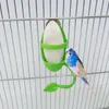 Autres Fournitures Pour Oiseaux Cage De Jouet À Mâcher Pour Perroquets Perruches Calopsittes Hamac Suspendu Balançoire 1 Pc