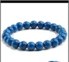 Avatar Chakra Hoge Kwaliteit Blauw Wit Groen Rood Natuurlijke Turkoois Steen Homme Femme Charms 8Mm Mannen Strand Kralen yoga Armbanden