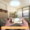 Plafonniers lumière LED lustre Ceil lampe AC 220V pour chambre décor à la maison balcon