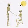 Other Office School Supplies People Active Model Skeleto Anatomy Skeleton Learning Halloween Party Decoration Art Sketch 230703