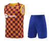 2024 camisetas 2023 de futebol camisetas de futebol de futebol lewandowski pedri gavi 23 24 fc Ansu Fati Ferran Raphinha Dest Camisa de futebol Men BARCA KIT Equipamentos de kit