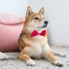 犬アパレル調節可能なリトルペット蝶ネクタイ結婚式の首輪小中大猫子犬用