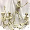 Other Office School Supplies People Active Model Skeleto Anatomy Skeleton Learning Halloween Party Decoration Art Sketch 230703