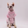 Costumi per gatti Vestiti Sphynx Comodi e traspiranti Primavera Estate per gatti senza pelo Devon Rex Cornish Peterbald