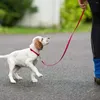 Hundehalsbänder Haustierleinen 3M Dual Double Tragbarer Wandersport für kleine und mittelgroße Hunde Einziehbares automatisches Traktionsseil