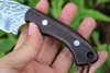 1Pcs M7630 Survival Straight Knife 5Cr13Mov Satin Blade Full Tang Rosewood Handle Outdoor Camping Hiking Hunting Fixed Blade Knives with Leather Sheath