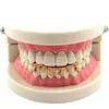 Griglie hip hop hop fit drip grillz grillz 14k oro hip hop tappi di denti inferiori inferiori