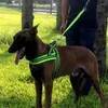 Hundehalsbänder, die Traktion halten, multifunktionale, verstellbare Leine, freihändige Haustier-Trainingsleine, reflektierend, Mehrzweck-Spaziergang für 2 Hunde