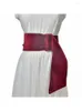 Ceintures vin rouge doré velours large ceinture 7cm pansement décoratif polyvalent avec accessoires en duvet femmes automne hiver taille couverture