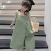 Mädchen Kleider 2023 Sommer Licht Luxus Mode Mädchen Hosen Koreanische Overall Kinder Kleidung Bequeme Casual Boutique Einfachen Stil