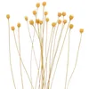 Decoratieve Bloemen 20 Stuks Rotan Diffuser Riet Essentiële Olie Sticks Vervangbare Wand