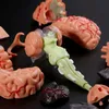 Other Office School Supplies 4D Disassembled Anatomical Human Brain Model Anatomy Teaching Tool Statues Sculptures Use 230703