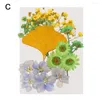 Dekorative Blumen, getrocknete Materialien, Schmuckherstellung, DIY, Kunsthandwerk, Po-Requisiten, Schönheitsaufkleber, Harzformfüllung, Blumenfüller