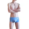 Mutande Raised Pouch Modale Moda Boxer da uomo Pantaloncini Fibra riciclata Traspirazione dell'umidità Maschile Biancheria intima sexy Pugili da uomo senza cuciture