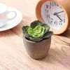 Fiori decorativi 5PCSPiccole piante succulente Decorazioni dal vivo in vaso per soggiorno da tavolo