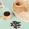 Measuring Tools Kitchen Measuring Spoon Teaspoon Coffee Scoop Cake Baking Flour Measuring Cup R230704