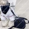 Coleiras para cães da moda Coleiras de design para cães Coleiras básicas com letras Clássico Transporte Corda Pano preto Babador para animais de estimação