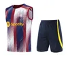 2024 camisetas 2023 de futebol camisetas de futebol de futebol lewandowski pedri gavi 23 24 fc Ansu Fati Ferran Raphinha Dest Camisa de futebol Men BARCA KIT Equipamentos de kit