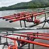 Boat Fishing Rods BIUTIFU Telescopic Fishing Rod 4/4.5/5/5.5/6/6.5m T800 Carbon Travel UltraLight Spinning Float Outdoor 30g Trout Bolognese Pole 230703