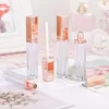 Bottiglia di lucidalabbra in oro rosa di alta classe da 4 ml Bottiglia di plastica vuota per olio cosmetico per labbra Tubo riutilizzabile Bottiglia di stoccaggio per rossetto liquido Hstmq