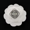 Alfinetes de moda de designer de luxo broche de latão sem desbotamento broche de abelha pequeno masculino feminino mesmo estilo c broches de letras duplas