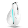 Wireless vertical mouse 2.4G wireless BT mouse, full-color lamp programming three-mode game mouse