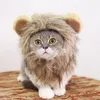Kattdräkter 2023 Rolig Söt Husdjursdräkt Lejonman Peruk Keps Hatt För Hund Halloween Julkläder Finklänning med öron