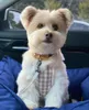 Dżinsy Suspender Plaid Jumpsuits Pet Clothing Psy Four Legged Dog Ubrania Kostium francuski Buldog Druku