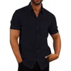 Chemises décontractées pour hommes chemise boutonnée en lin décontracté pour hommes affaires Chambray solide été coton ample respirant classique 230706