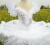 Vêtements de scène professionnel Ballet Tutu crêpe enfants blanc lac des cygnes Costume enfants Danse filles plume ballerine jupes