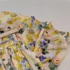 Rokken Filter Olieverf Rok Chiffon Vezel Dames Knielange A-lijn Geplooid Met Vintage Bloemenprint Dameskleding