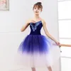 Vêtements de scène robe de Ballet bleu justaucorps de Performance pour filles adulte femme couleur progressive jupe longue Tutu danse moderne
