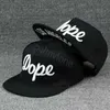Bonés de bola de alta qualidade moda hip pop chapéu bordado boné de beisebol de algodão snapback masculino feminino hip hop papai malha chapéu de caminhoneiro DropBall atacado-2
