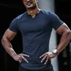 Men's T shirt Tee Plain V Neck Street Casual Short Sleeve Clothing Apparel Fashion Classic Comfort Big and Tall