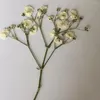 Dekorative Blumen 2PCS Handwerk DIY für Telefon Fall Postkarte Rahmen getrocknete Gypsophila Pflanzen Herbarium gepresst echt