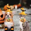 Ropa para perros Disfraces de gatos Solo para gatos Sombrero de bruja de murciélago y collar de calabaza Fiesta de Halloween Mascota Pequeños gatitos medianos