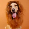 Dog Apparel Festival Pet Costume Funny Lion Mane- Wig Headgear Hat Halloween Party Decor Pour Golden Retriever Teddy Labrador Husky Chihuahua