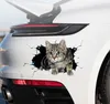 車のステッカー 車のステッカー クリエイティブ 3D 猫 面白い 車体スクラッチ マスキングステッカー アニマル スタイリング ステッカー 装飾 カーアクセサリー x0705