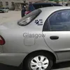 Autocollants de voiture bébé chien de compagnie à bord de la voiture autocollants de voiture élégants panneau d'avertissement réfléchissant Dacel x0705