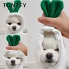 Dog Apparel Autumn Winter Dogs Clothes Hoodie Warm Plus Fleece Cute Orange Carrots Green Frog Puppy Small Medium Dogs Chihuahua Sweatshirt 230704