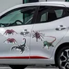 車のステッカー新しい立体車のステッカークモヤモリ動物シミュレーション車のテールステッカー現実的な修正創造的な装飾 x0705