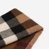 Sciarpe invernali Fashion Bur al dettaglio in vendita Autunno e New Plaid Nappa Cashmere Warm Simple Double Sided Scarf Neck