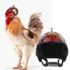 Odzież dla psów czapka dla ptaków zabawki dla zwierząt domowych regulowane kaczki nakrycia głowy małe twarde akcesoria do wybiegu dla kurczaków