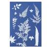 PCS Sun Print Paper Cyanotype Kit A5 Sensibilité au dessin solaire Impression de nature