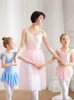 Stage Wear Blue Ballet Dress Filles Danse Justaucorps Body Enfants Enfants Ballerine Tutu Gymnastique Justaucorps Pour Fille Jupe En Mousseline De Soie