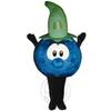 Nieuwe volwassen schattige blauwe bessen fruit mascotte kostuum fancy dress carnaval kostuum