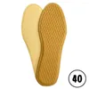 Carpets Warm Shoe Insoles Moisture Wicking Heat Soft Cozy Feet Thermal For Women Men Adults Elders Teenagers Cold